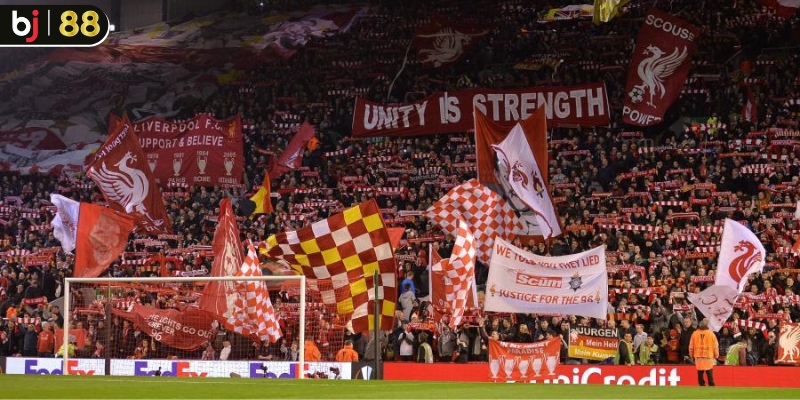 The Kop Là Gì 